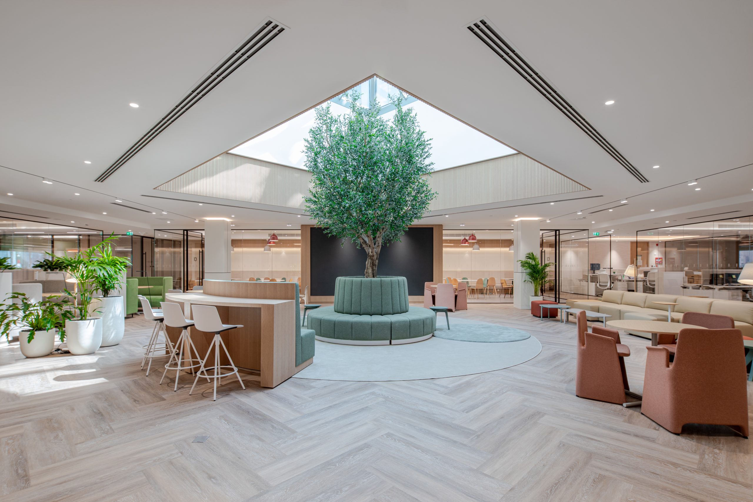 A room with a tree and skylit in it