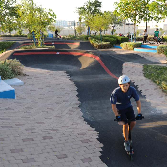 Pump Track, desert INK