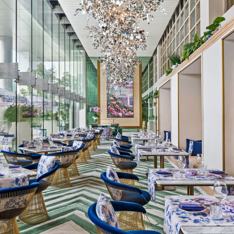 Ginori Terrace, WA International